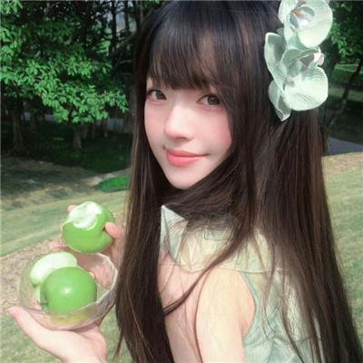 神龟岛