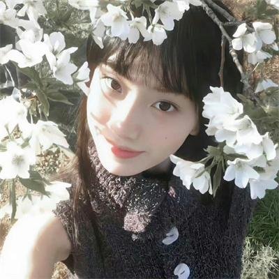 节日开始了